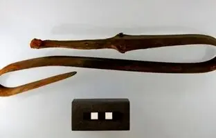 کشف یک شمشیر بسیار کمیاب
