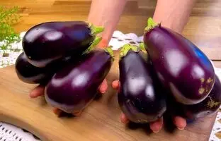 آلمانی ها با2 عدد بادمجان این غذا را درست می کنند! + ویدئو