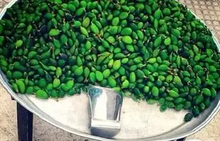 خطر مسمومیت با نوبرانه‌ بهار؛ مراقب مصرف این نوع چغاله‌ها باشید