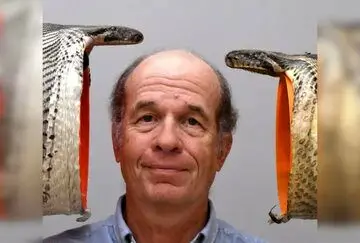 سر انسان در دهان ترسناک مار پیتون