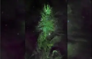 جشن کریسمس به سبک ناسا