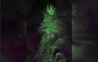 جشن کریسمس به سبک ناسا