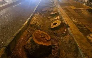 «فیتیله نارنجی» دردسر جدید برای تهران