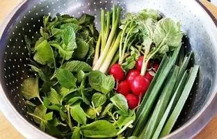 چطور سبزی‌ها را تازه نگه داریم؟ فوت‌وفن نگهداری سبزیجات