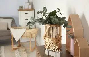10 گیاه آپارتمانی برای اتاق خواب نوزادان + بهترین محل قرار دادن آن