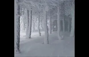 جنگل یخ‌زده فندقلو اردبیل + ویدئو
