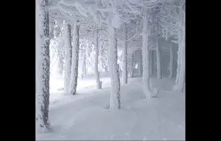جنگل یخ‌زده فندقلو اردبیل + ویدئو