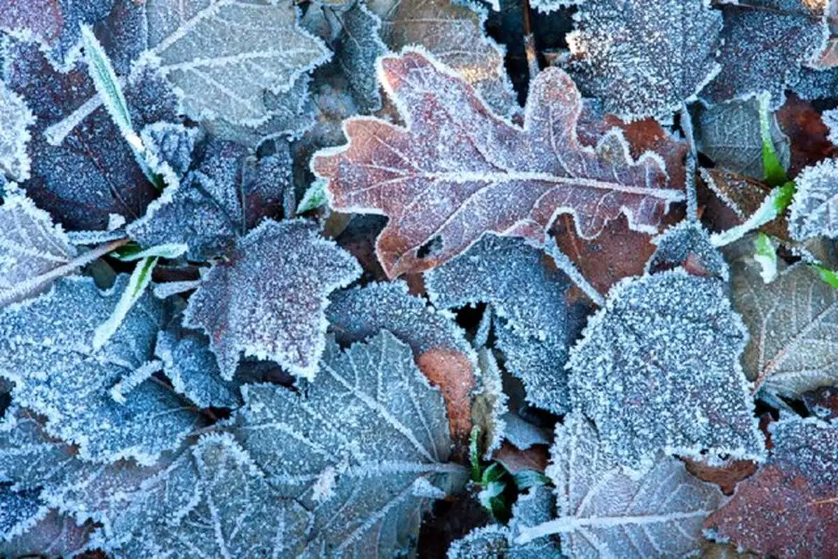 ساخت سطحی که تا یک هفته یخ نمی‌زند