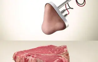 بینی مصنوعی ساخت کره‌جنوبی/ انواع رایحه را به دقت تشخیص می‌دهد