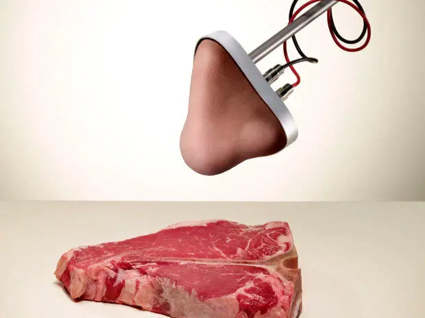 بینی مصنوعی ساخت کره‌جنوبی/ انواع رایحه را به دقت تشخیص می‌دهد