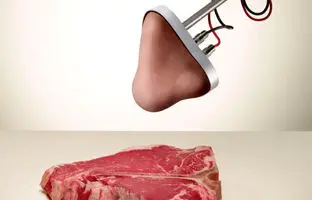 بینی مصنوعی ساخت کره‌جنوبی/ انواع رایحه را به دقت تشخیص می‌دهد