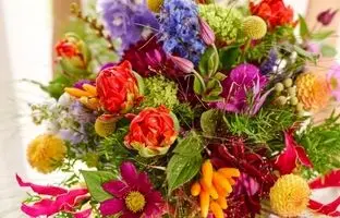  نماد گل هر کشور چیست؟ 