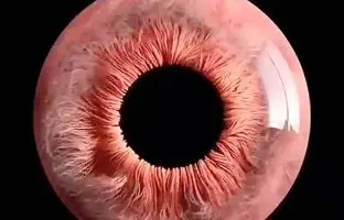 چشم انسان زیر میکروسکوپ! + ویدئو