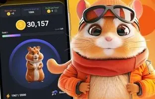  بازگشت قوی همستر کامبت! آیا بلاک چین لایه ۲ این بازی توکن HMSTR را نجات می‌دهد؟ 
