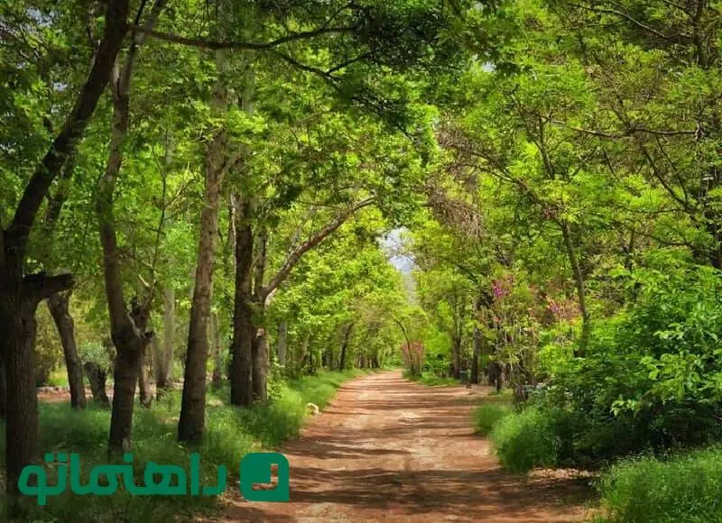 همسفر با بهار به پارک‌های شیراز؛ ۵ پارک بهشتی برای پیک نیک