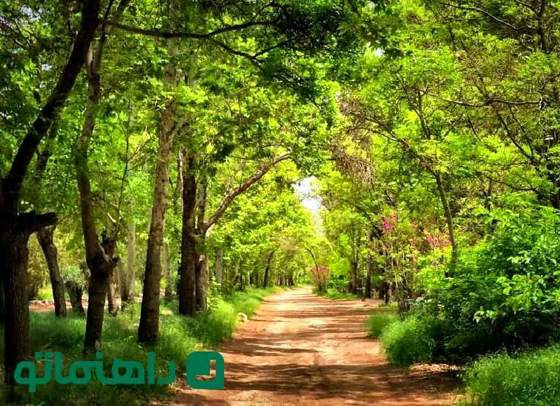 همسفر با بهار به پارک‌های شیراز؛ ۵ پارک بهشتی برای پیک نیک