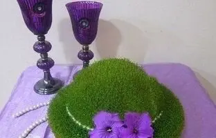 راهنمای کاشت سبزه تخم شربتی با تمام ترفندها