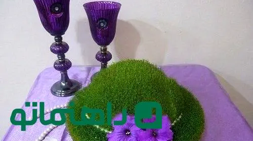 راهنمای کاشت سبزه تخم شربتی با تمام ترفندها