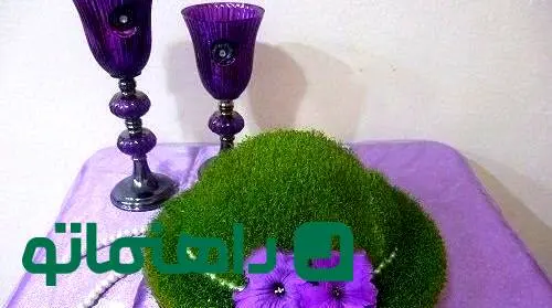 راهنمای کاشت سبزه تخم شربتی با تمام ترفندها
