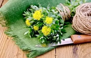 کشف یک عصاره گیاهی شفابخش برای درمان دیابت نوع 2