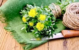 کشف یک عصاره گیاهی شفابخش برای درمان دیابت نوع 2