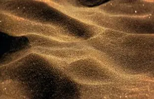دانه های شن می تواند ما را لاغر کند!