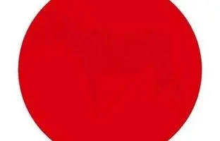 تست هوش تصویری؛ در دایره قرمز رنگ چه می بینید؟