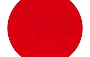 تست هوش تصویری؛ در دایره قرمز رنگ چه می بینید؟