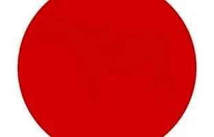 تست هوش تصویری؛ در دایره قرمز رنگ چه می بینید؟
