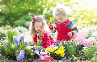 «کوری گیاهی»؛ عارضه ای ناشناخته در کمین شهرنشینان!