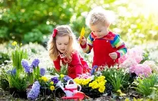 «کوری گیاهی»؛ عارضه ای ناشناخته در کمین شهرنشینان!