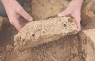 کشف فسیل نادر یک خزنده دریایی 100 میلیون ساله؛ سنگ روزتای دیرینه شناسان!