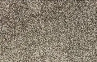 معمای چشم عقاب؛ آیا می توانید عنکبوت را در 12 پیدا کنید؟