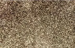 معمای چشم عقاب؛ آیا می توانید عنکبوت را در 12 پیدا کنید؟