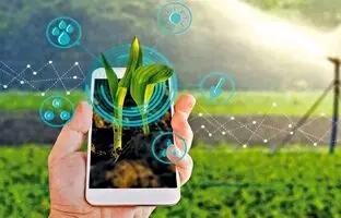 ورود ربات ها به مزرعه داری سنتی!