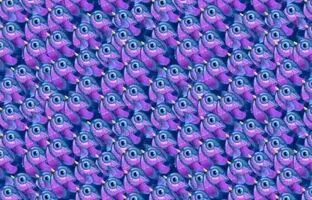 معمای چشم عقاب؛ آیا می توانید پروانه را در بین پرنده ها پیدا کنید؟