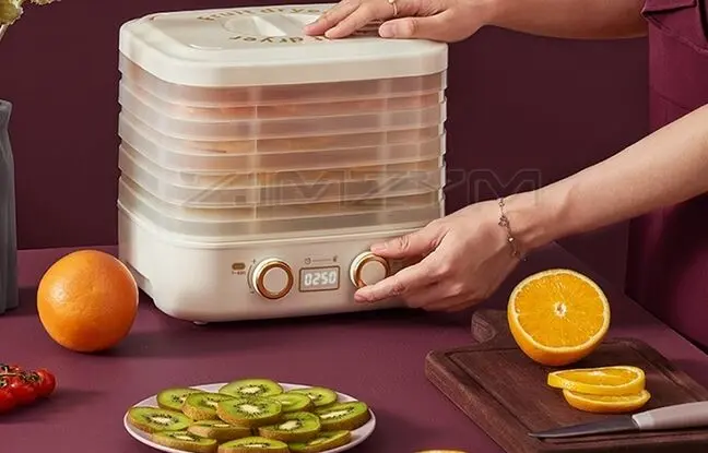 راهنمای خرید میوه خشک کن برای تمام بودجه ها
