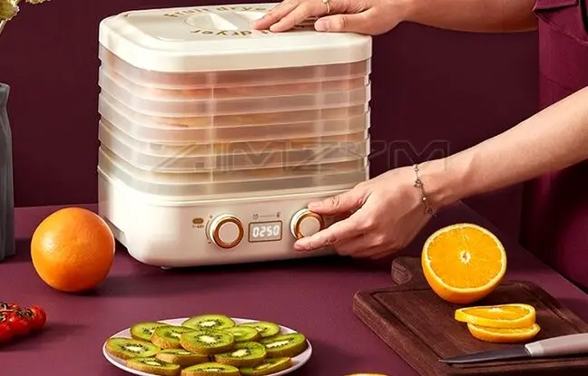 راهنمای خرید میوه خشک کن برای تمام بودجه ها
