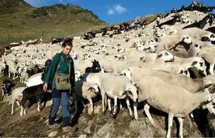 (تصاویر) این دختران جوان چوپانی را با زندگی شهری تاخت زدند