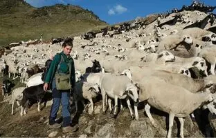 (تصاویر) این دختران جوان چوپانی را با زندگی شهری تاخت زدند