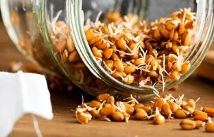 انواع جوانه‌ها و خواص شگفت انگیز آنها که باید بدانید