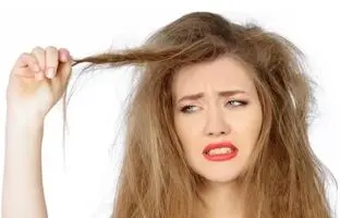 راهنمای خرید بهترین نرم کننده برای موهای خشک، وز و آسیب دیده