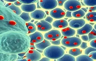 هوش مصنوعی چگونه درک ما از سیستم ایمنی را ارتقا می‌بخشد؟