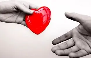 ساخت دارویی که نگهداری قلب‌های اهدایی را ساده‌تر می‌کند