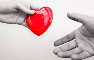 ساخت دارویی که نگهداری قلب‌های اهدایی را ساده‌تر می‌کند