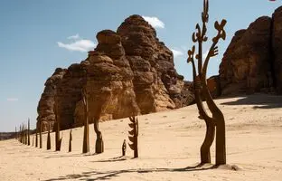 (تصاویر) صحرا ایکس؛ تقارن خیال انگیز هنر و برهوت!