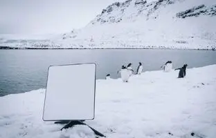 اینترنت ماهواره‌ای به قطب جنوب رسید!