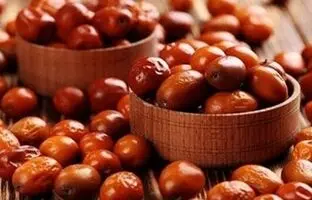 سنجد ماده غذایی مفید برای دستگاه گوارش