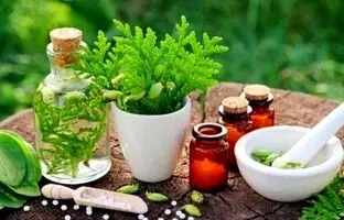بهترین گیاهان دارویی برای درمان سرگیجه
