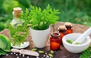 بهترین گیاهان دارویی برای درمان سرگیجه